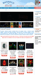 Mobile Screenshot of manneco.com